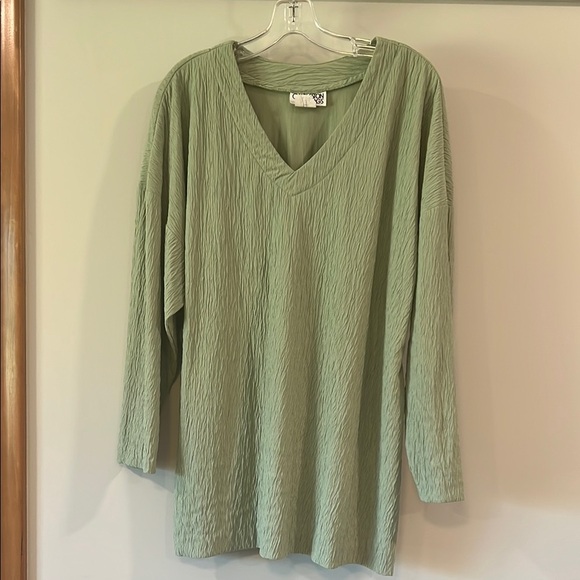 Vintage Charleston Rags - 1x, Sage Green V-Neck Long Sleeve Top - Picture 1 of 5